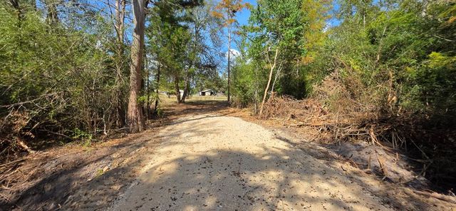 6.97 Acres Nobles Rd Lot 6, Cottonwood, AL 36320