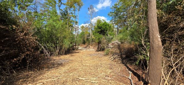 6.97 Acres Nobles Rd Lot 6, Cottonwood, AL 36320