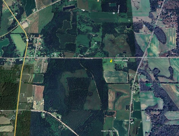 6.97 Acres Nobles Rd Lot 6, Cottonwood, AL 36320