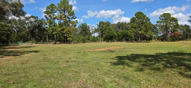 6.97 Acres Nobles Rd Lot 6, Cottonwood, AL 36320