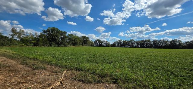 6.97 Acres Nobles Rd Lot 6, Cottonwood, AL 36320