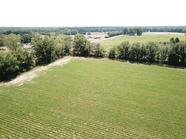 6.97 Acres Nobles Rd Lot 6, Cottonwood, AL 36320
