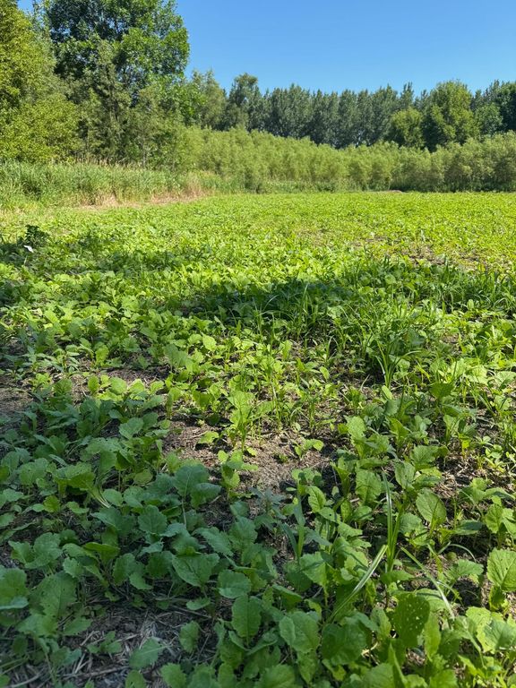 TBD US HWY 169, Le Sueur, MN 56058 — photo 3