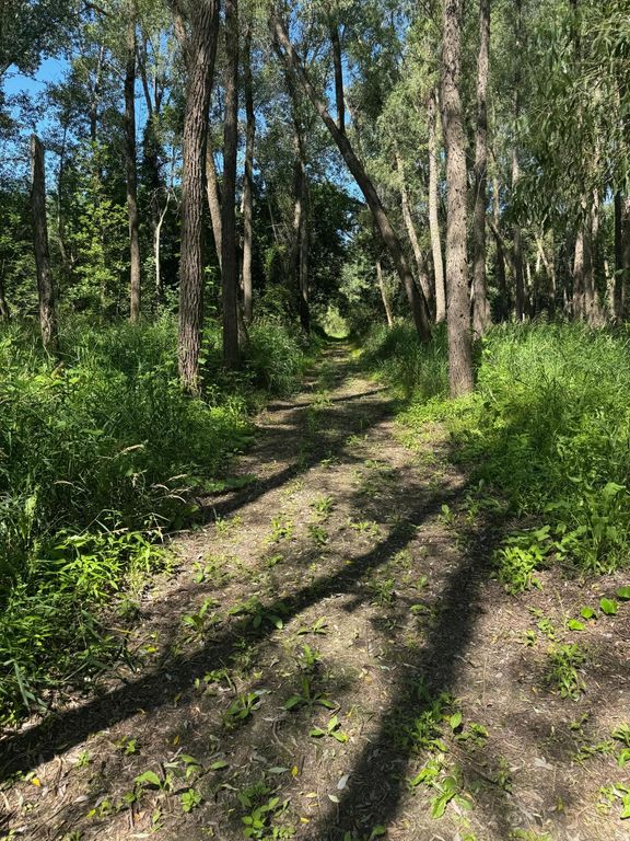 TBD US HWY 169, Le Sueur, MN 56058 — photo 4