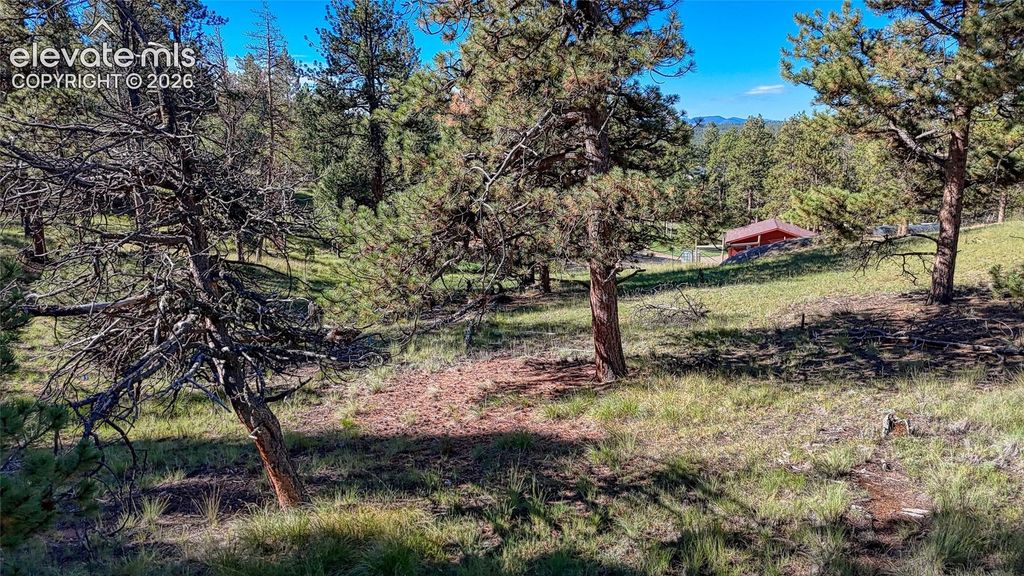 65 Utah Way, Florissant, CO 80816 — exterior
