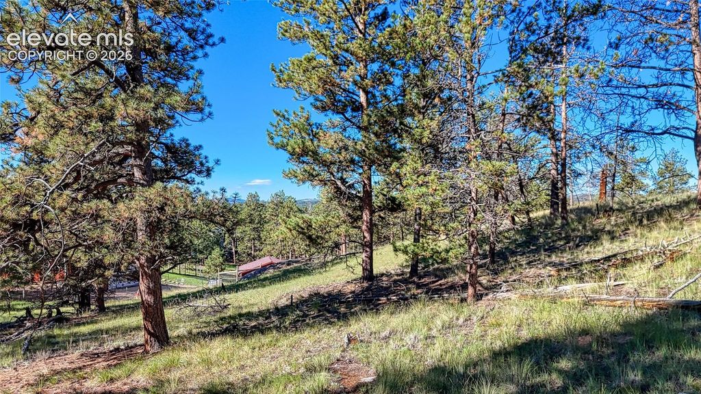 65 Utah Way, Florissant, CO 80816 — photo 2