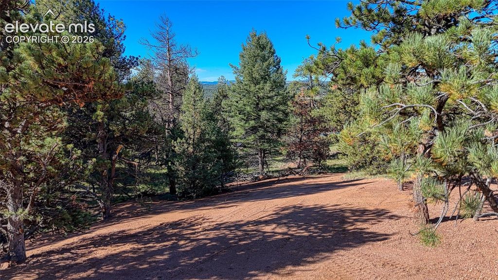 65 Utah Way, Florissant, CO 80816 — photo 5
