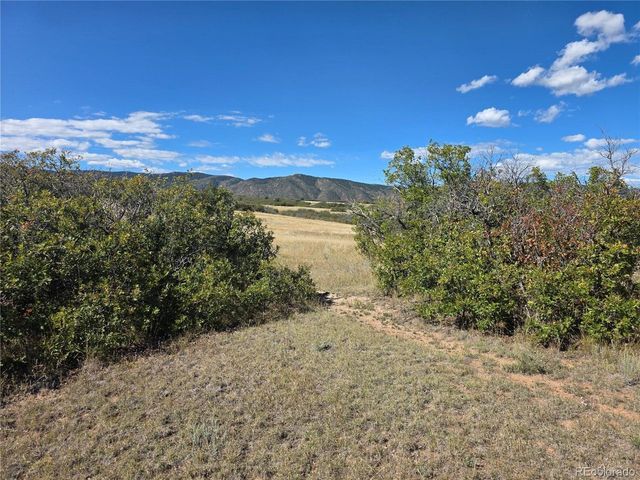 5230 Tall Horse Trl, Sedalia, CO 80135