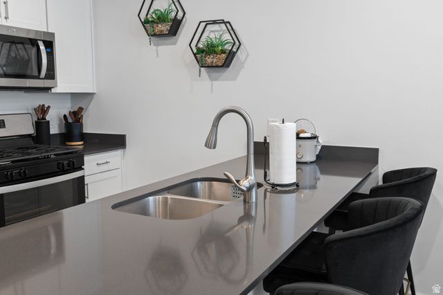 3881 S SILVER BANK DR, Magna, UT 84044