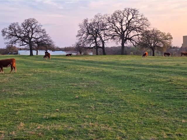 1313 W Sanford Street, Arlington, TX 76012