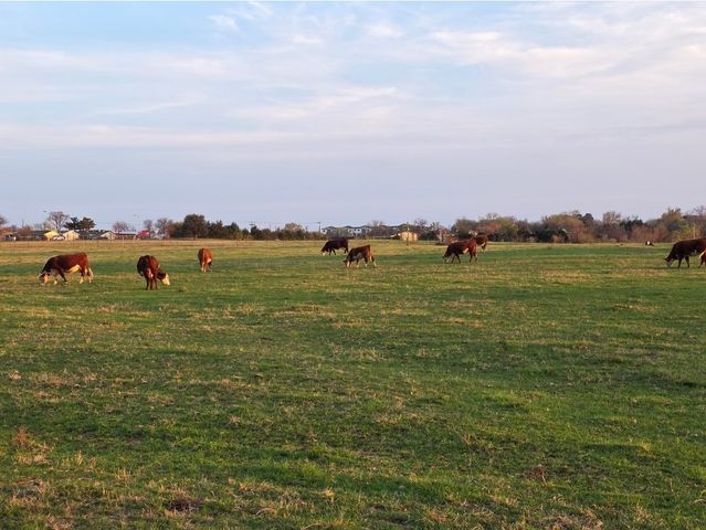 1313 W Sanford Street, Arlington, TX 76012