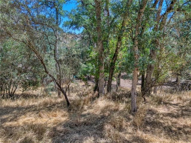 13020 Ridge, Clearlake, CA 95422