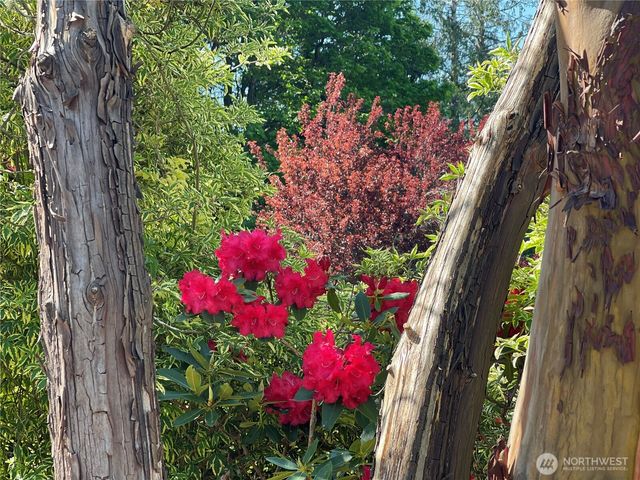 1988 Cascade View Drive, Camano Island, WA 98282