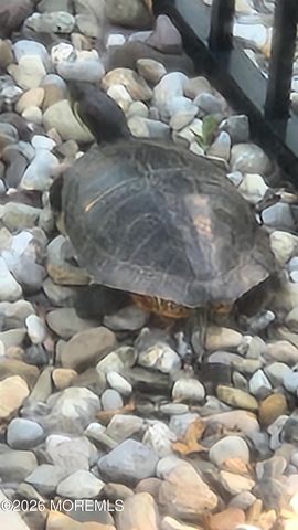 91 Davis Lane, Red Bank, NJ 07701