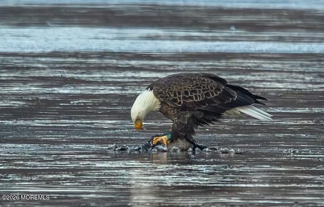 91 Davis Lane, Red Bank, NJ 07701