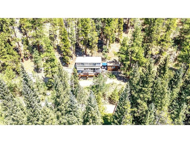 7992 County Road 43, Bailey, CO 80421
