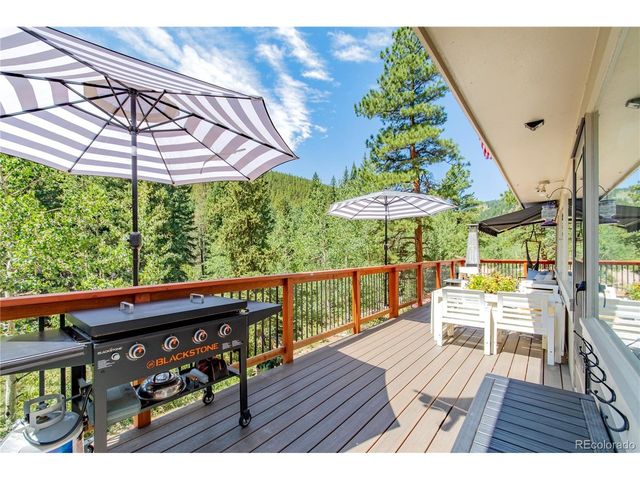 7992 County Road 43, Bailey, CO 80421