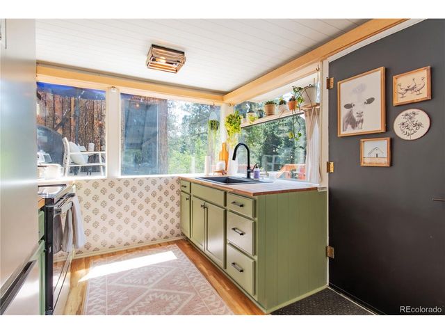 7992 County Road 43, Bailey, CO 80421