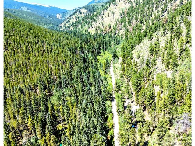 7992 County Road 43, Bailey, CO 80421