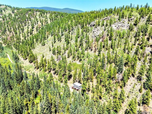 7992 County Road 43, Bailey, CO 80421