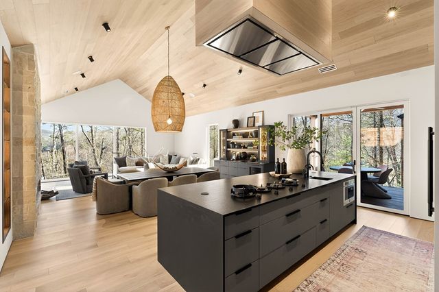 160 Black Ankle Drive, Cherry Log, GA 30522