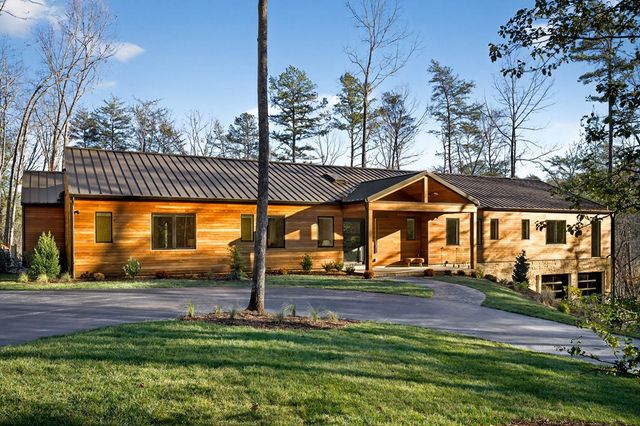 160 Black Ankle Drive, Cherry Log, GA 30522