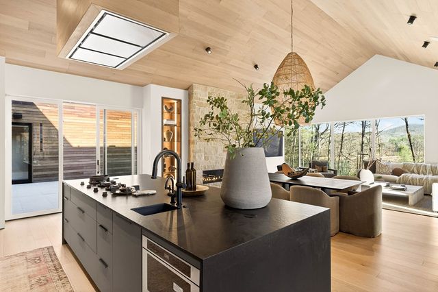 160 Black Ankle Drive, Cherry Log, GA 30522