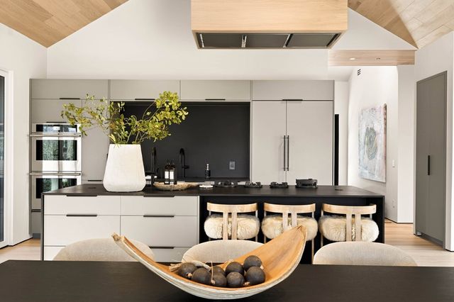 160 Black Ankle Drive, Cherry Log, GA 30522