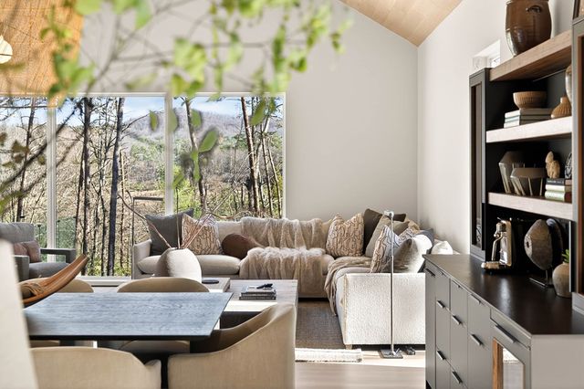 160 Black Ankle Drive, Cherry Log, GA 30522