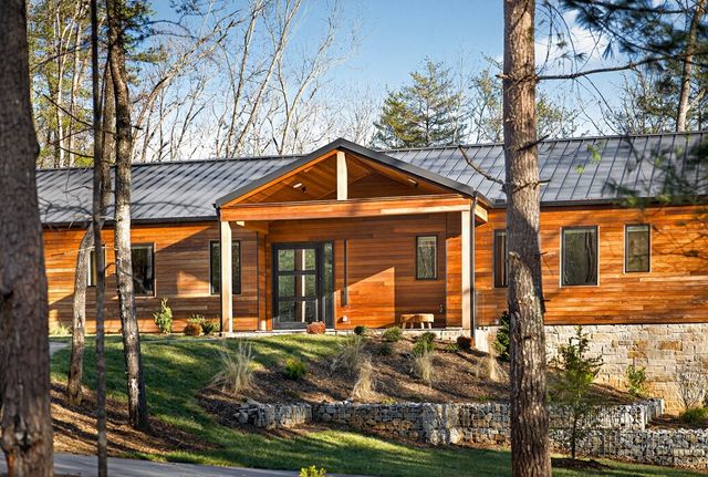 160 Black Ankle Drive, Cherry Log, GA 30522