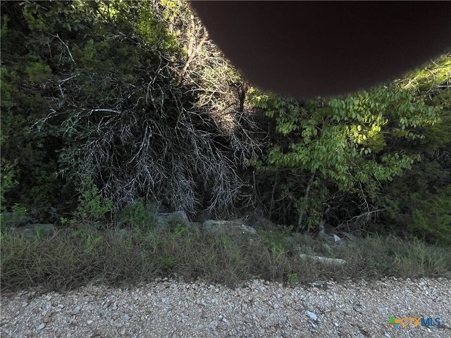 1331 Moerike Road, Canyon Lake, TX 78133