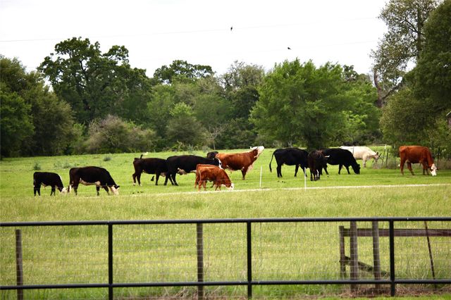 7588 Los Lobos Drive, Bryan, TX 77808