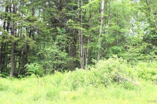 Milk Road, Osceola, NY 13316