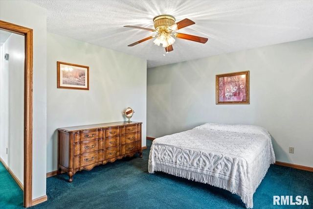 203 Wintergreen Drive, Chatham, IL 62629