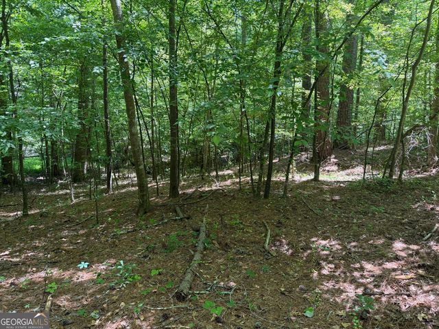 565 Avery Road, Canton, GA 30115