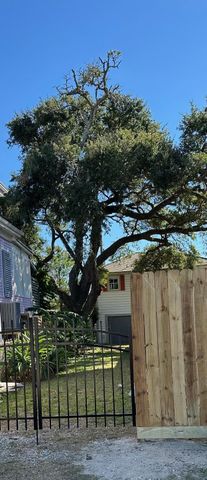 1009 Sealy Street, Galveston, TX 77550