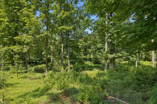 1411 Bell Meadow Ct, Nolensville, TN 37135