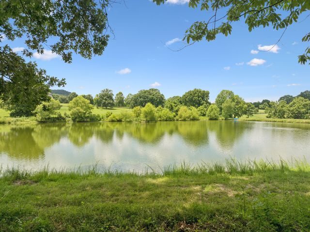 1411 Bell Meadow Ct, Nolensville, TN 37135