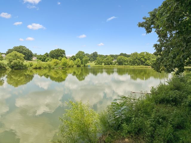 1411 Bell Meadow Ct, Nolensville, TN 37135