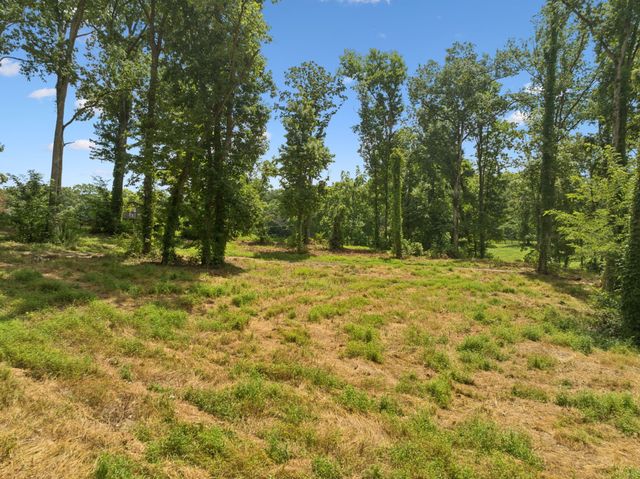 1411 Bell Meadow Ct, Nolensville, TN 37135