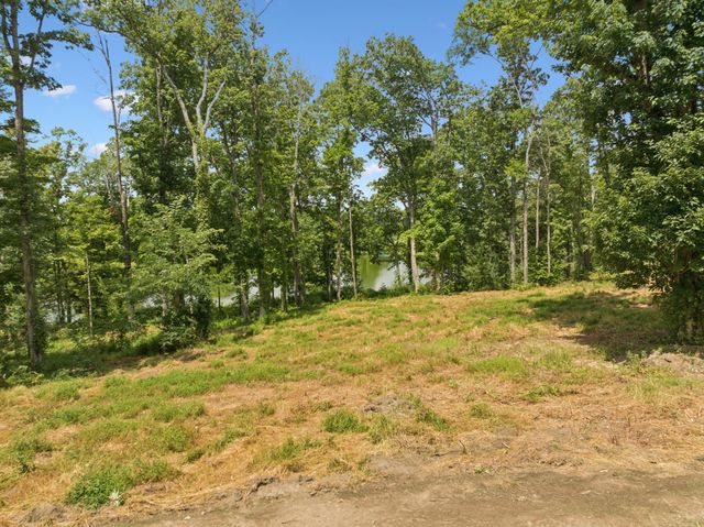 1411 Bell Meadow Ct, Nolensville, TN 37135