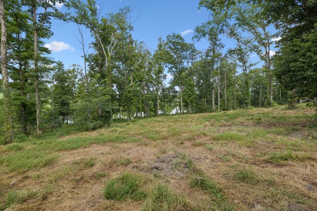 1411 Bell Meadow Ct, Nolensville, TN 37135