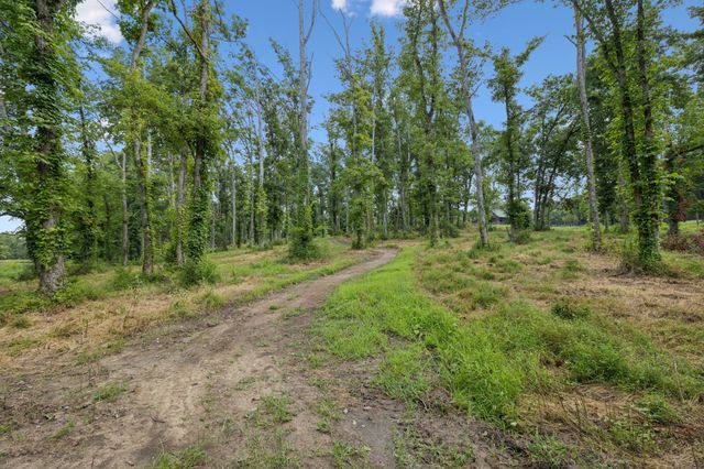 1411 Bell Meadow Ct, Nolensville, TN 37135