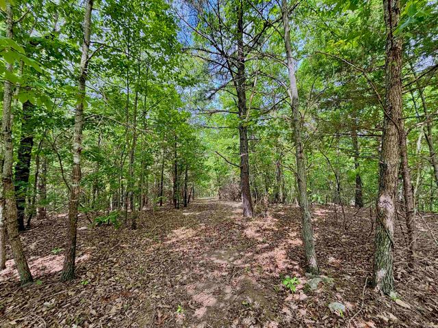 751 Mingues Turner Ln, Mountain View, AR 72560