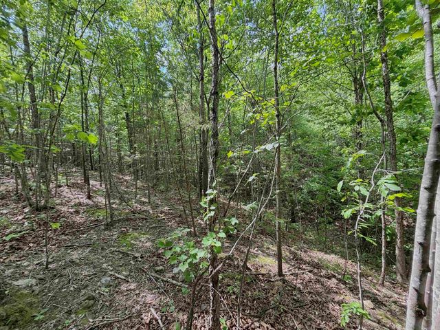 751 Mingues Turner Ln, Mountain View, AR 72560