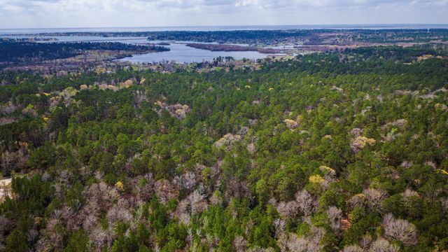 TBD Tract 5 Triple Creek Loop, Livingston, TX 77351