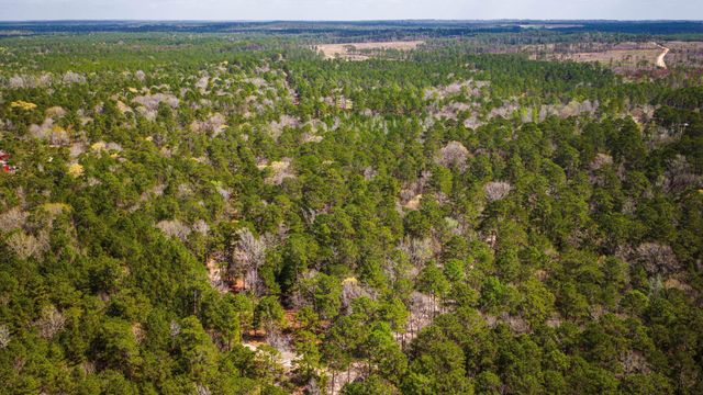 TBD Tract 5 Triple Creek Loop, Livingston, TX 77351