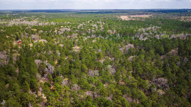 TBD Tract 5 Triple Creek Loop, Livingston, TX 77351