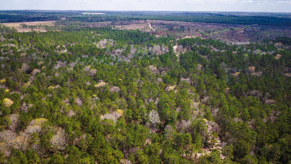 TBD Tract 5 Triple Creek Loop, Livingston, TX 77351
