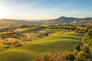 5561 Sonoma Mountain Rd, Santa Rosa, CA 95404